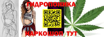 гашик Мариинск