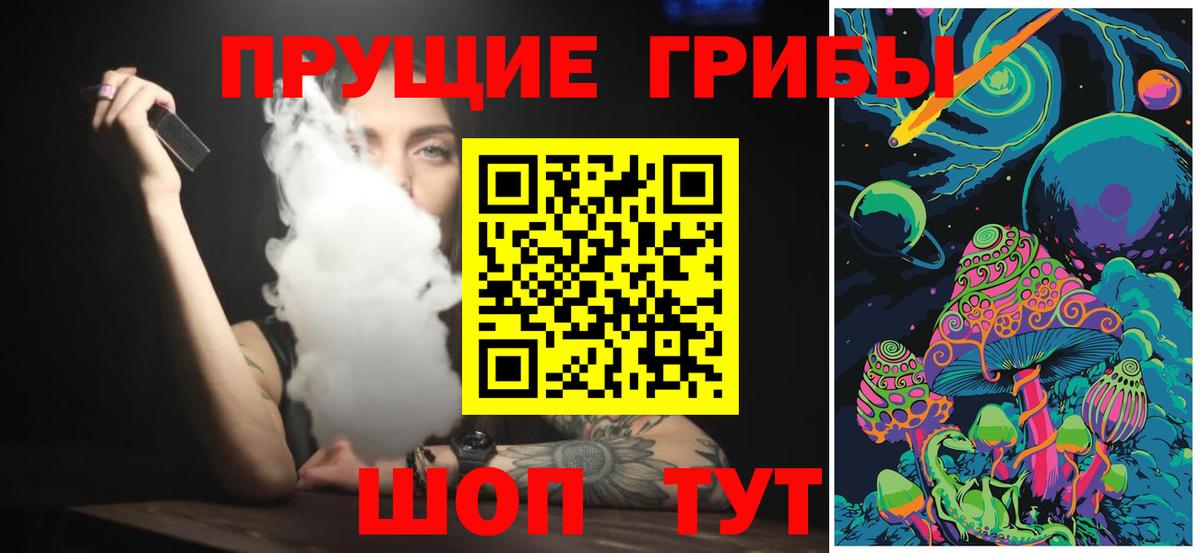Псилоцибиновые грибы Psilocybe  Вход с VPN  Псилоцибиновые грибы прущие грибы  Верхний Уфалей 